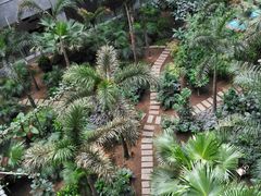 -黑龙江中医药大学附属第一医院