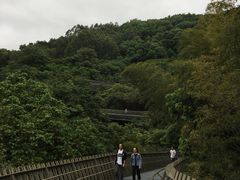 -福道