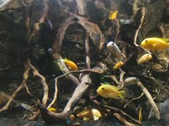 -海合安武汉极地海洋公园