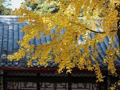 -望江楼公园