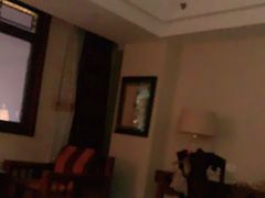 -维也纳国际酒店·西安大雁塔大唐不夜城店
