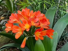 -仁和四季涮肉馆(天坛南门店)