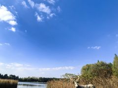 -溱湖国家湿地公园