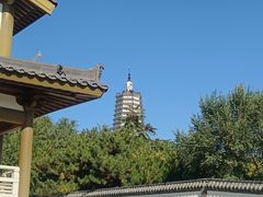 -舍利塔滩地公园-无垢净光舍利塔