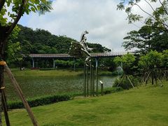 -王借岗森林公园