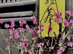 -红梅公园