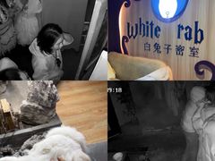 -白兔子密室(长寿路店)