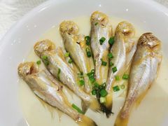 雪汁梅鱼-好兄弟郭巨海鲜(天一阁店)