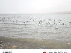 -青海湖国家重点风景名胜区