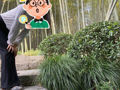 -杭州黄龙洞