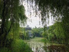 -金鸡湖桃花岛