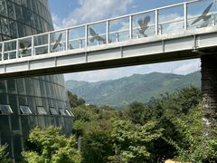-昆明植物园