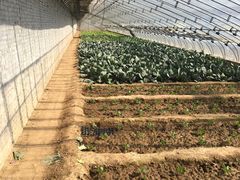 -杨柳青园艺科技博览园