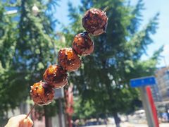 -邓记新一代糖油果子(四川煤管局供销公司职工宿舍店)