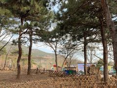 -北京西山国家森林公园