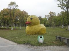 -上海都市菜园