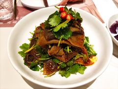 香菜脆毛肚-椒爱水煮鱼川菜(新抚万达店)