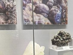 -湖南省地质博物馆