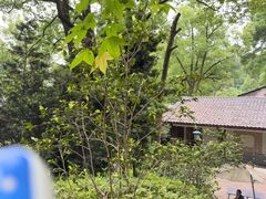 -南山植物园