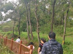 -玉渡山自然风景区