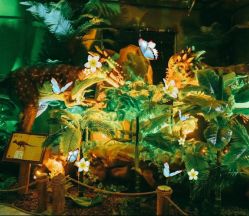 -恐龙探索乐园(磁器口店)