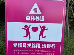 -东澳岛