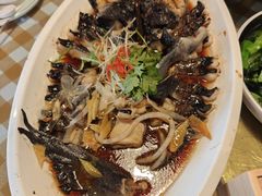 豆豉蒸鲟鱼-京北渔家傲
