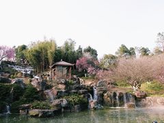 -秀丽东方