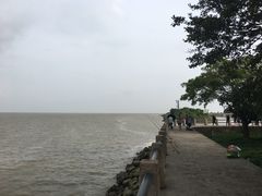 -大湾区中央湿地公园