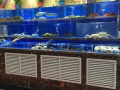 -河马鲜生海鲜超市(风荷园店)