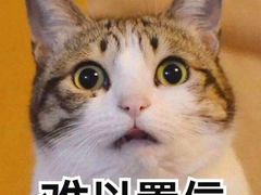 -青石桥市场北1-27号