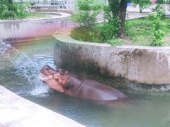 -西安秦岭野生动物园