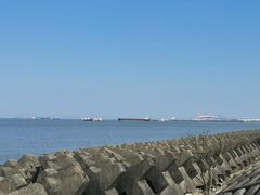 -上海滨江森林公园