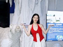 -重庆欢乐海底世界