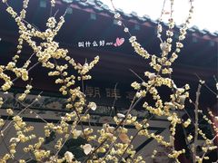 -山东师范大学(千佛山校区)