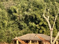 -杭州野生动物世界