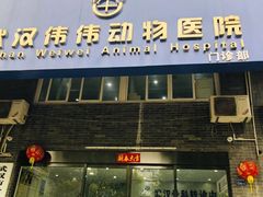 -伟伟宠物医院·CT影像中心·瑞派犬猫综合性门诊(汉口总院)