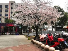 -绿地风尚天地广场