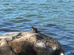 -长春市南湖公园