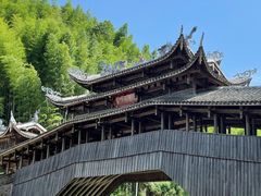 -玉苍山国家森林公园