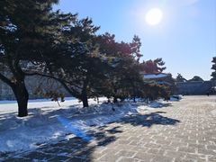 -北陵公园