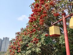 -塔子山公园