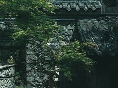 -鱼桥巷·美学川菜