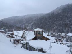 -大秃顶子山