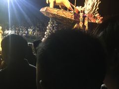 -狮子王庆典