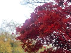 -中国茶叶博物馆(双峰馆区)