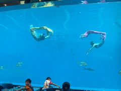 -瑞德姆美人鱼海底演艺主题餐厅(亚龙湾店)
