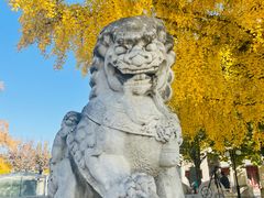 -北京石刻艺术博物馆(五塔寺)