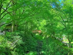 -三千院