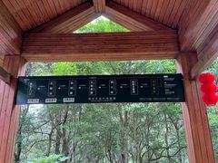 -姑婆山旅游区